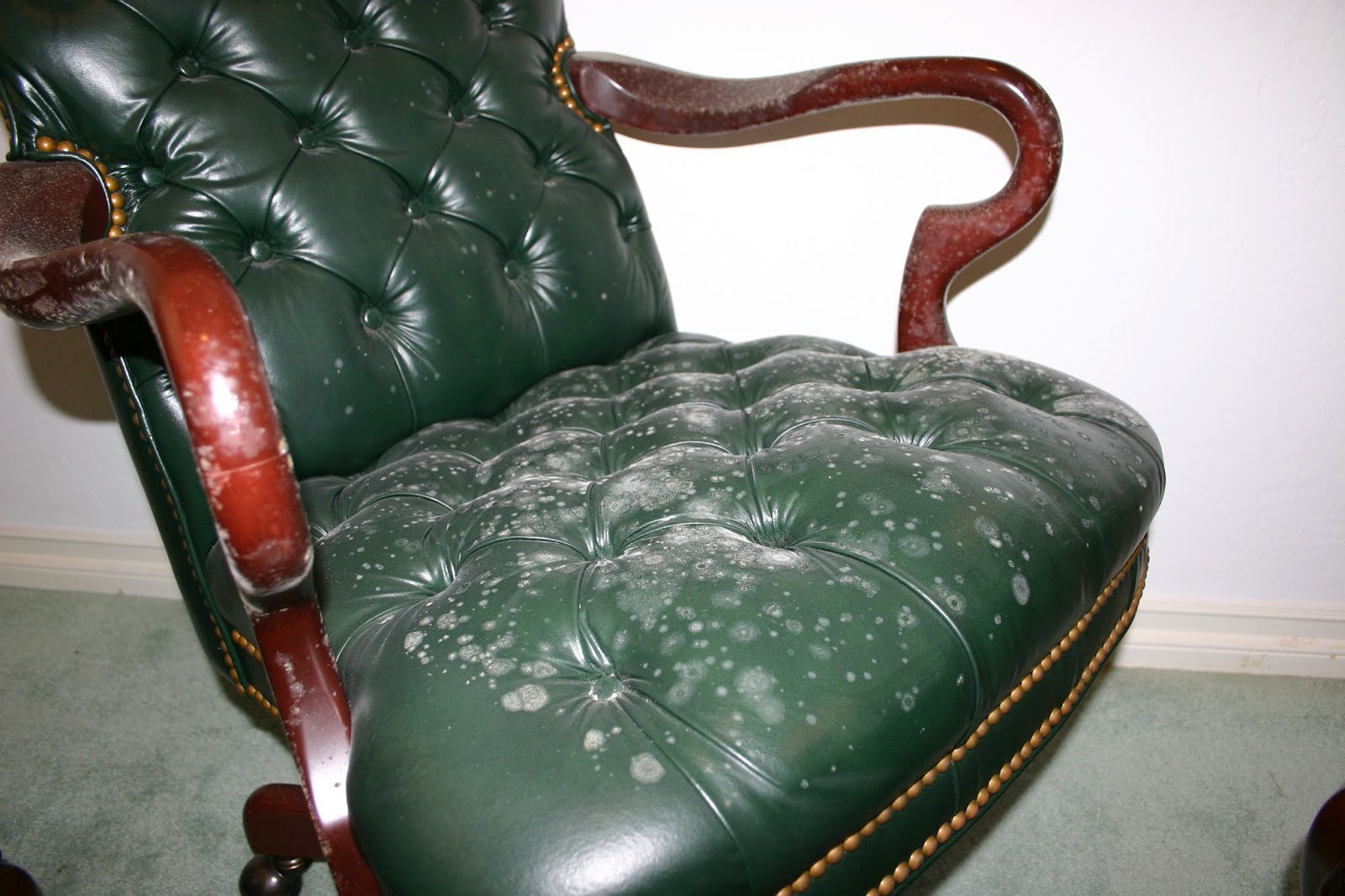 How To Clean Mold From Fabric Chairs